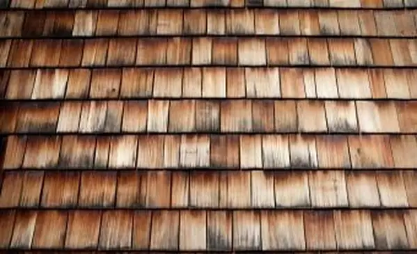 Toit recouvert de bardeaux de bois de mélèze