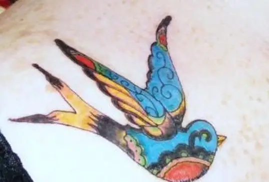 アマンダ・パテのヴィンテージ・バード