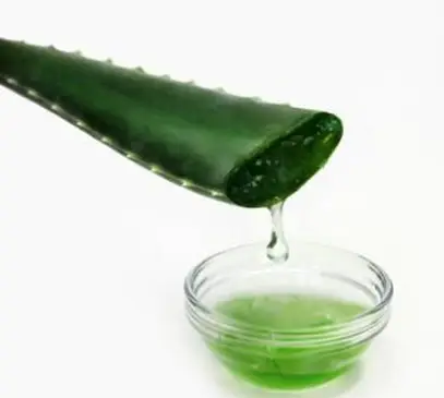 Aloe vera in una ciotola