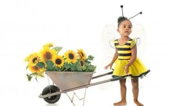 רעיונות לתלבושות של דבורה