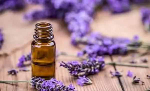 Bylinkový olej a kvety levandule