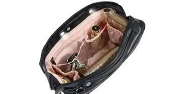 PurseNLEDライトオーガナイザーによるLittBag