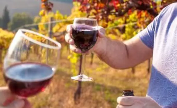 Wein trinken in einem Weinberg