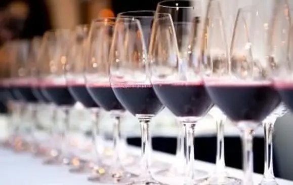 31 verschiedene Rotweinsorten