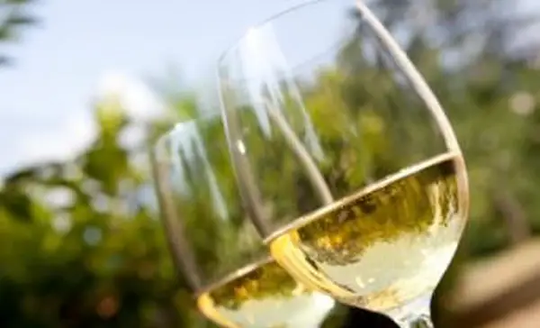 Tipi più popolari di vino bianco