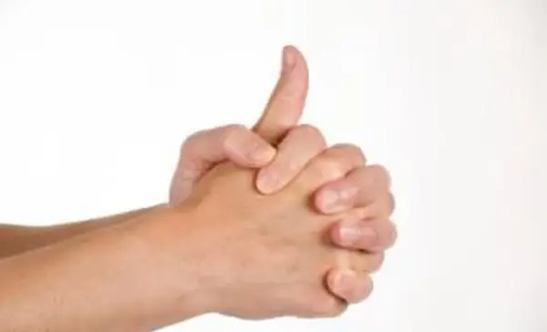 לינגה מודרה