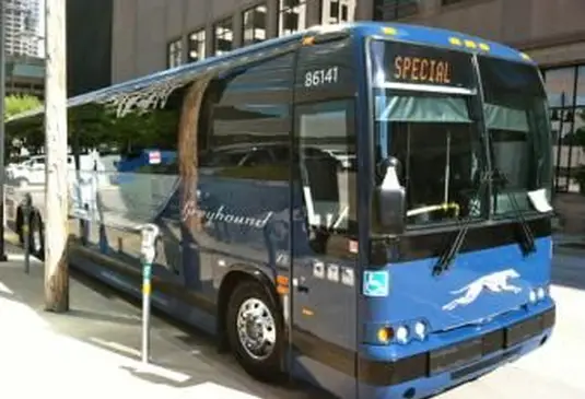 그레이하운드 버스