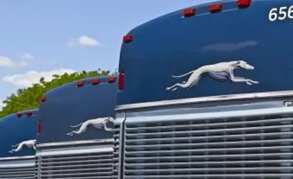 그레이하운드 티켓 가격