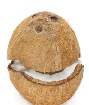 코코넛을 안전하고 효과적으로 여는 2 가지 방법