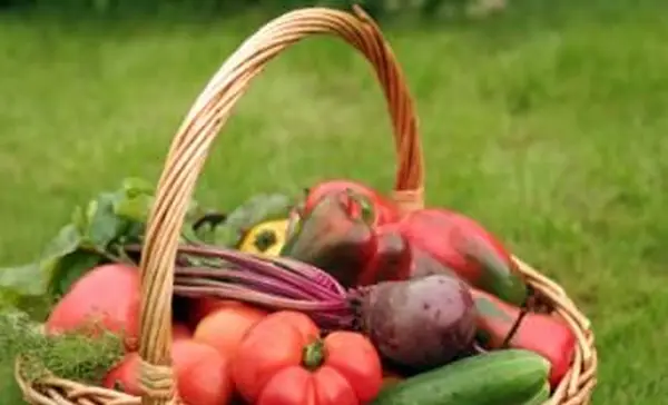 Comment faire pousser un potager