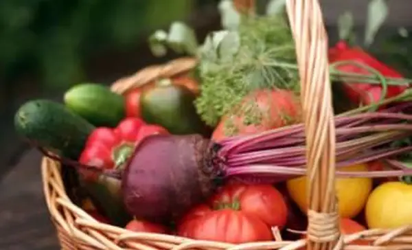 秋に菜園で除草剤を使用できますか？