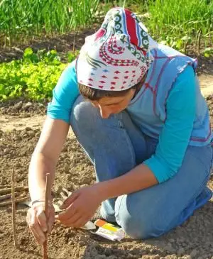 mulher plantando no jardim