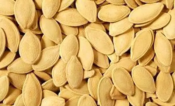 Piantare semi di zucca