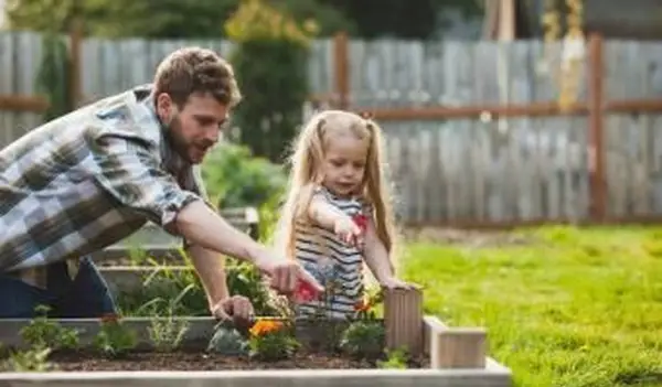 Najrýchlejšie rastúce ovocie a zelenina
