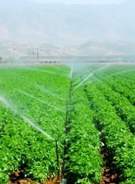 מערכות השקיה עצמית להשקיה