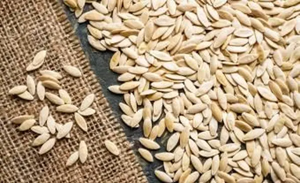 Semillas de pepino sobre fondo de tela de saco