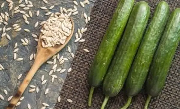 Cómo guardar y almacenar semillas de pepino