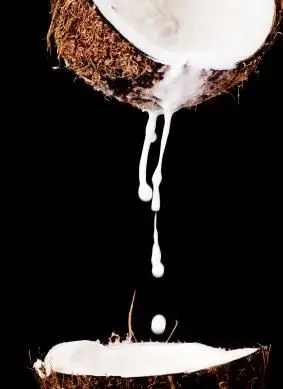 O leite de coco é saudável? Pese os prós e contras