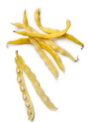 שעועית שעווה