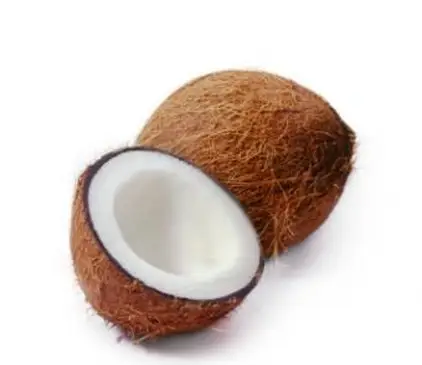 Je kokosový orech oriešok alebo ovocie? Botanická odpoveď