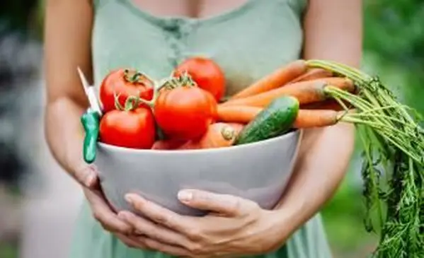 Por que os vegetais são bons para você? 6 principais benefícios