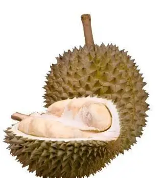 Durian.webp
