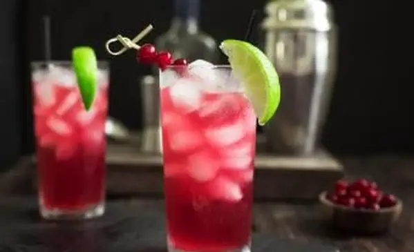 ケープコッダー