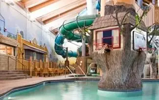 Wild Woods Water Park no Holiday Inn Mpls. NW Elk River
