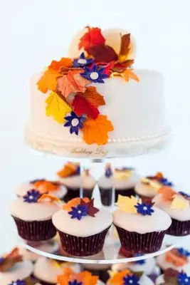 Cupcakes sur le thème de l'automne aux couleurs vives et un gâteau lors d'une célébration de mariage