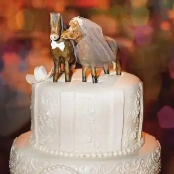 צמרות סוסי חתן וכלה