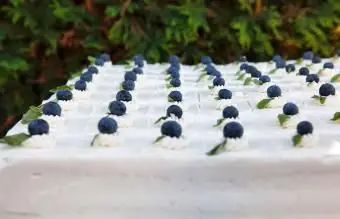 ブルーベリーのシートケーキ