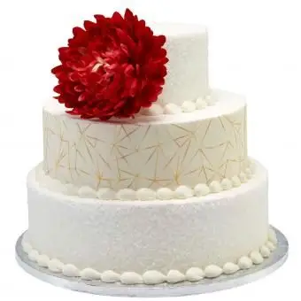 월마트 웨딩 케이크