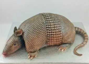 עוגת חתן ארמדילו