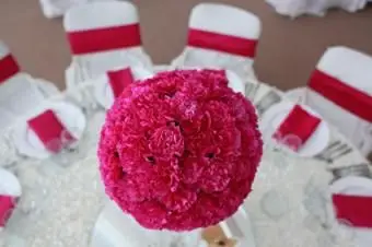 kula kwitnie centralny