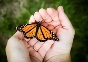 Pomysły na wesele z motywem motyli