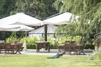 孔雀をテーマにした結婚式の招待状