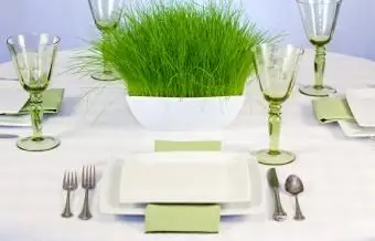 https://cf.ltkcdn.net/weddings/images/slide/249563-1246x800-grass.webp