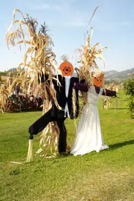 Cestný nevesta a ženích