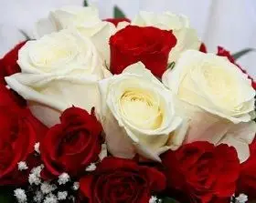 Boda Temática De San Valentín