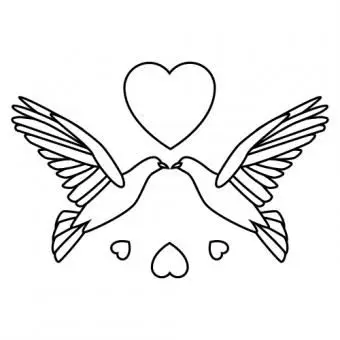 čiernobiele holubice