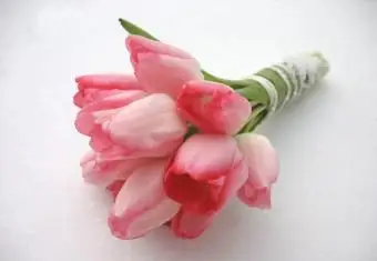 Buquê de tulipas