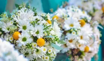 Buquês de margaridas