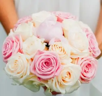 אותו פרח בשני צבעים