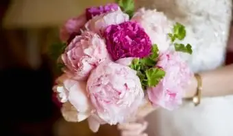 צבעים מונוכרומטיים