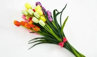 צבעי הקשת של אותו פרח