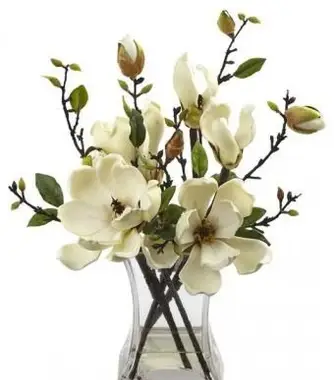Usporiadanie magnólie s vázou