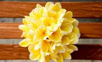 Bouquet de frangipanier