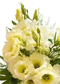 LisianthusBouquet.webp