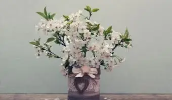 Gałęzie kwiatów dzikiej wiśni