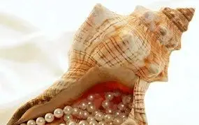 Alternatywy dla Bukietów Ślubnych